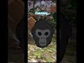 Rarity LEGENDARY Took An Hour To Make Jman Viral Gorilla Gorillatag Jmancurly Vr Foryou Hi