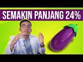 Penis Pria Semakin Panjang