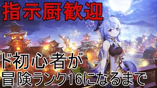[原神]ド初心者が冒険ランク16になるまで叩かれる配信