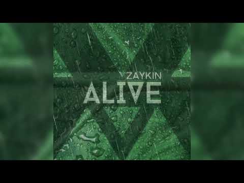 Zaykin - Alive