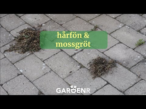 Hårfön och mossgröt mot ogräs mellan stenarna - Trädgårdshacks med GardenR