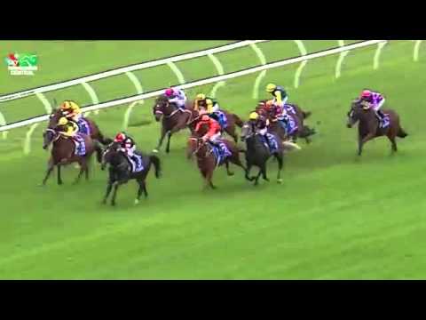 T J SMITH STAKES 2015  - Chautauqua