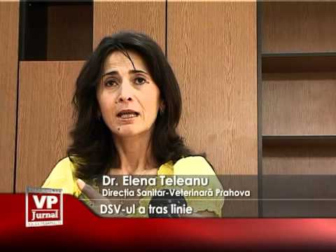 DSV-ul a tras linie