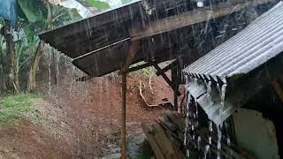 Download lagu Heavy Rain Atmosphere In The Countryside Creates A Comfortable Atmosphere, Eliminates Stress⛈️ mp3 Download lagu Heavy Rain Atmosphere In The Countryside Creates A Comfortable Atmosphere, Eliminates Stress⛈️ mp3