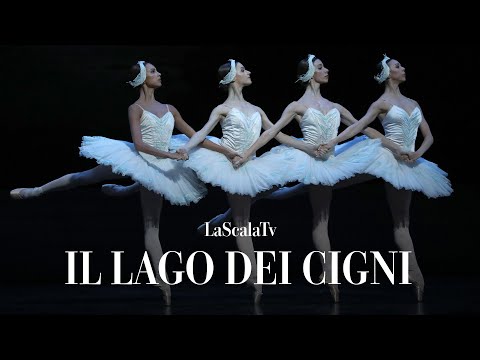 Il lago dei cigni - Danza dei piccoli cigni (Teatro alla Scala)