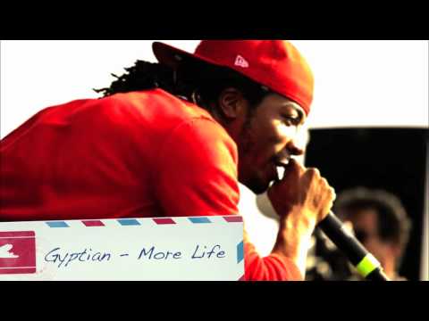 Pleasure Riddim - Konshens, Cecile, Denyque, Gyptian & More!! July 2010!!