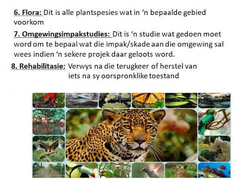 GEOGRAFIE GRAAD 9: 19 Junie 2020 - periode 6 (19096)