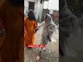 Ni Main Sas Kutni Shortsvideo Funny Viral Comedy