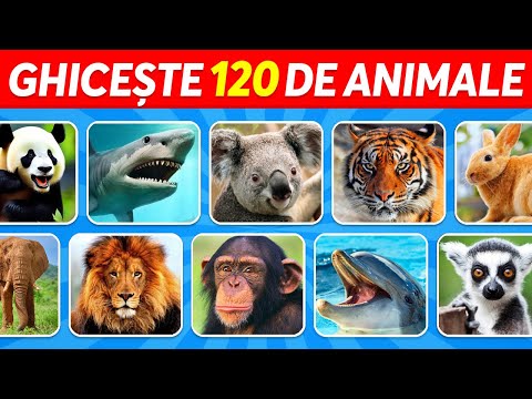 Ghicește 120 de Animale în 3 Secunde | Ușor, Mediu, Dificil, Imposibil