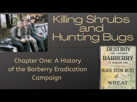 Chapter One: A History of the Barberry Eradication Campaign