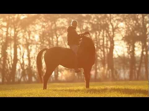 Macunka’s Video 106396246875 VgwxdhIEAic