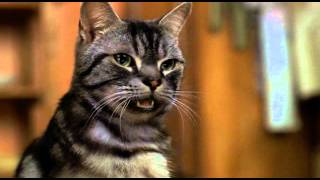 Stuart Little Funny Hindi