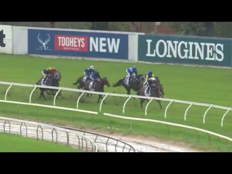 Winx 2017 George Ryder Stakes Unbelievable 16 Wins!