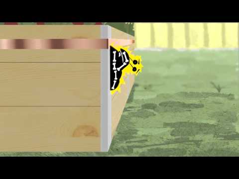 Koppartejp mot mördarsniglar