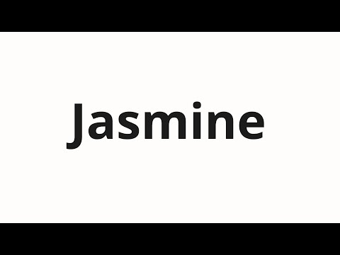 How to pronounce Jasmine