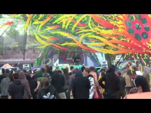 Noise Poison Festival 2013 - Insector (1/2)