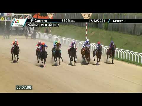 211217 c01 - CAFETINA - HIPODROMO LAS PIEDRAS