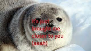 Alyssa Milano | Closer to you (lyrics)