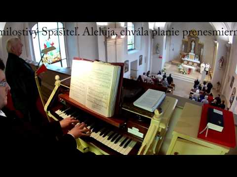 JKS 193 - Aleluja, radujme sa (ein osterliches Messlied)