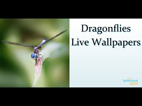 Dragonflies Live Wallpaper Video