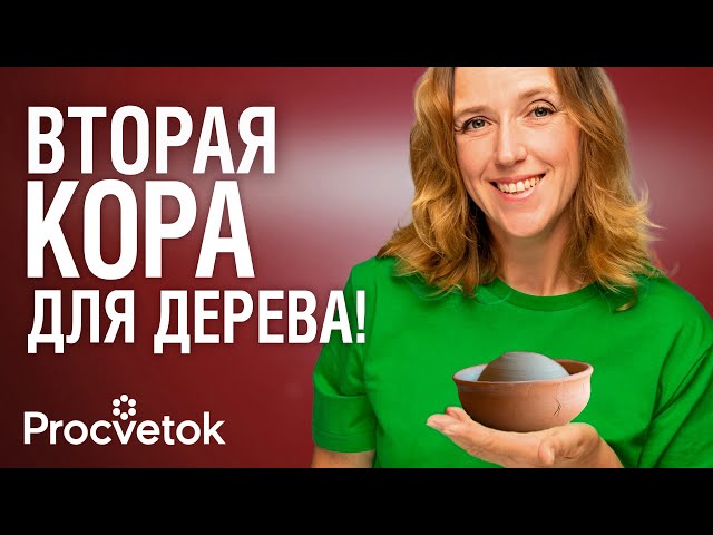 ЗАТЯНУТСЯ ВСЕ РАНЫ НА ДЕРЕВЬЯХ после этой целебной замазки! +Тест популярных садовых красок