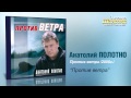 Анатолий Полотно - Против ветра (Audio) 