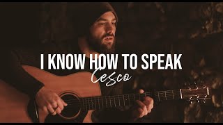 I KNOW HOW TO SPEAK - Manchester Orchestra (Cover)