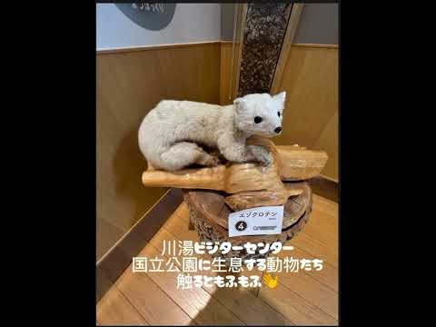 「総合生活キャリア学科」国内フィールドワーク〜北海道を満喫する旅〜 #大学生 #学生生活 #札幌国際大学
