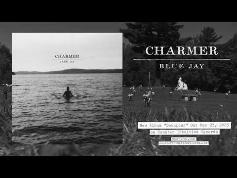 Video thumbnail for Blue Jay