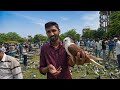 Shuru Ho Gaya Nagpur Ka Kabootar Market New Market Ki First Video ️