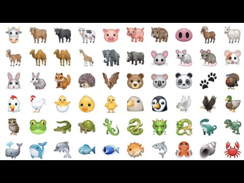 LEARN ANIMALS WITH EMOJIS - Animal Emojis for Kids, Toddlers, Kindergarten, Children