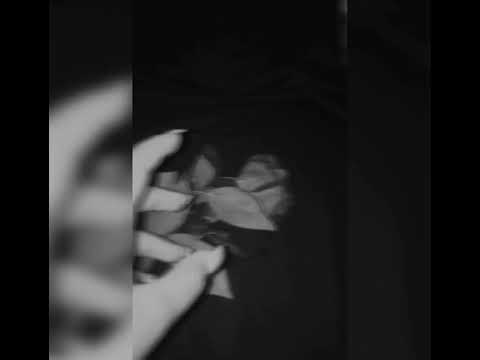 Fifi &Bruno; A t’kom faj🥀