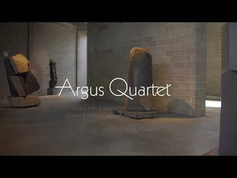 Argus Quartet: noise/SILENCE