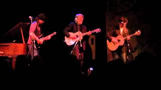 Acoustic Traveler McEuen DQ