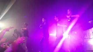 IM5 Zero Gravity Live