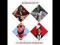 BURNA BOY Common Person Official Music Audio