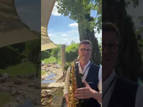 Wolfgang - Video 3