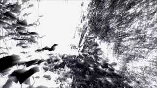 ASBAAR - The Bug Man Ascension