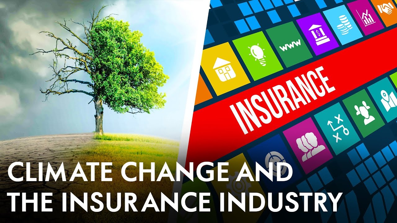 Insurers and Climate Change Resilience / Climate Risk Management Strategies for Stability