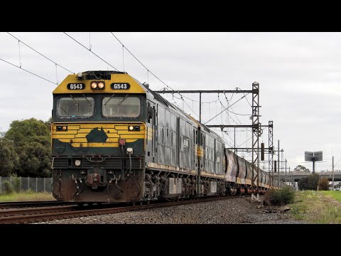 PN Standard & Broad Grain - Albion.