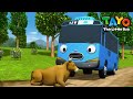 Tayo Bahasa Indonesia Spesial l #94 Seekor sapi aneh di jalan l Animasi Anak-anak l Tayo Bus Kecil