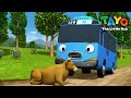 Tayo Bahasa Indonesia Spesial L 94 Seekor Sapi Aneh Di Jalan L Animasi Anak Anak L Tayo Bus Kecil