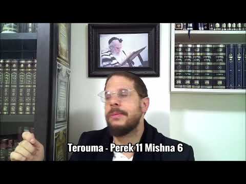 Terouma - Perek 11 Mishna 6 - Mar. 26 Kislev 5786