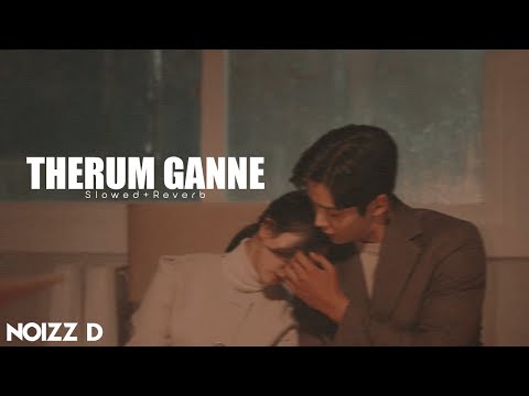 Therum Ganne(තේරුම් ගන්නේ) | Slowed+Reverb