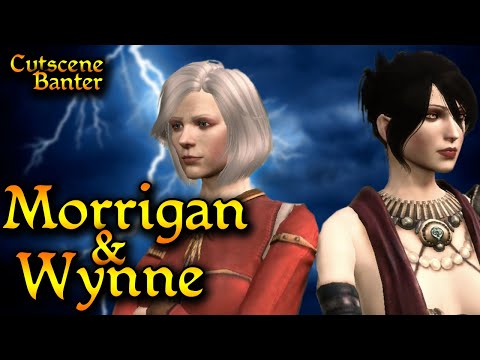 Morrigan and Wynne COMPLETE Banter | Dragon Age: Origins