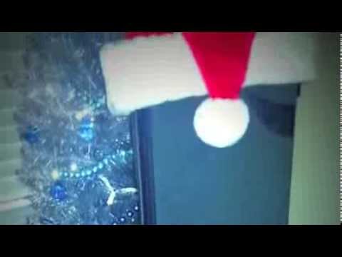 Guitarist Tomi Martin, Reunion Blues Renegade Holiday Solo