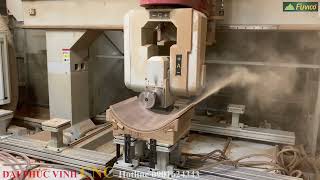 MÁY CNC 3D 5 TRỤC 2 BÀN TẢI NẶNG WOODMASTER PRO-MASTER-T3AP. Thi công 5 trục mọi góc độ.