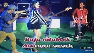 Download lagu palapa manuk kecepit mp3 Download lagu palapa manuk kecepit mp3