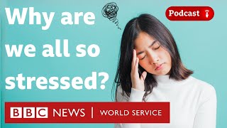 How to deal with stress - What in the World podcast,  BBC World Service