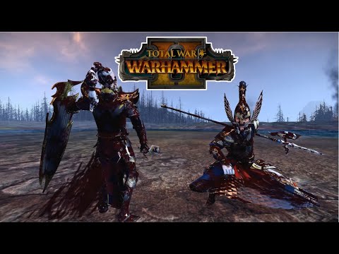 Noble VS Master | Total War: Warhammer 2